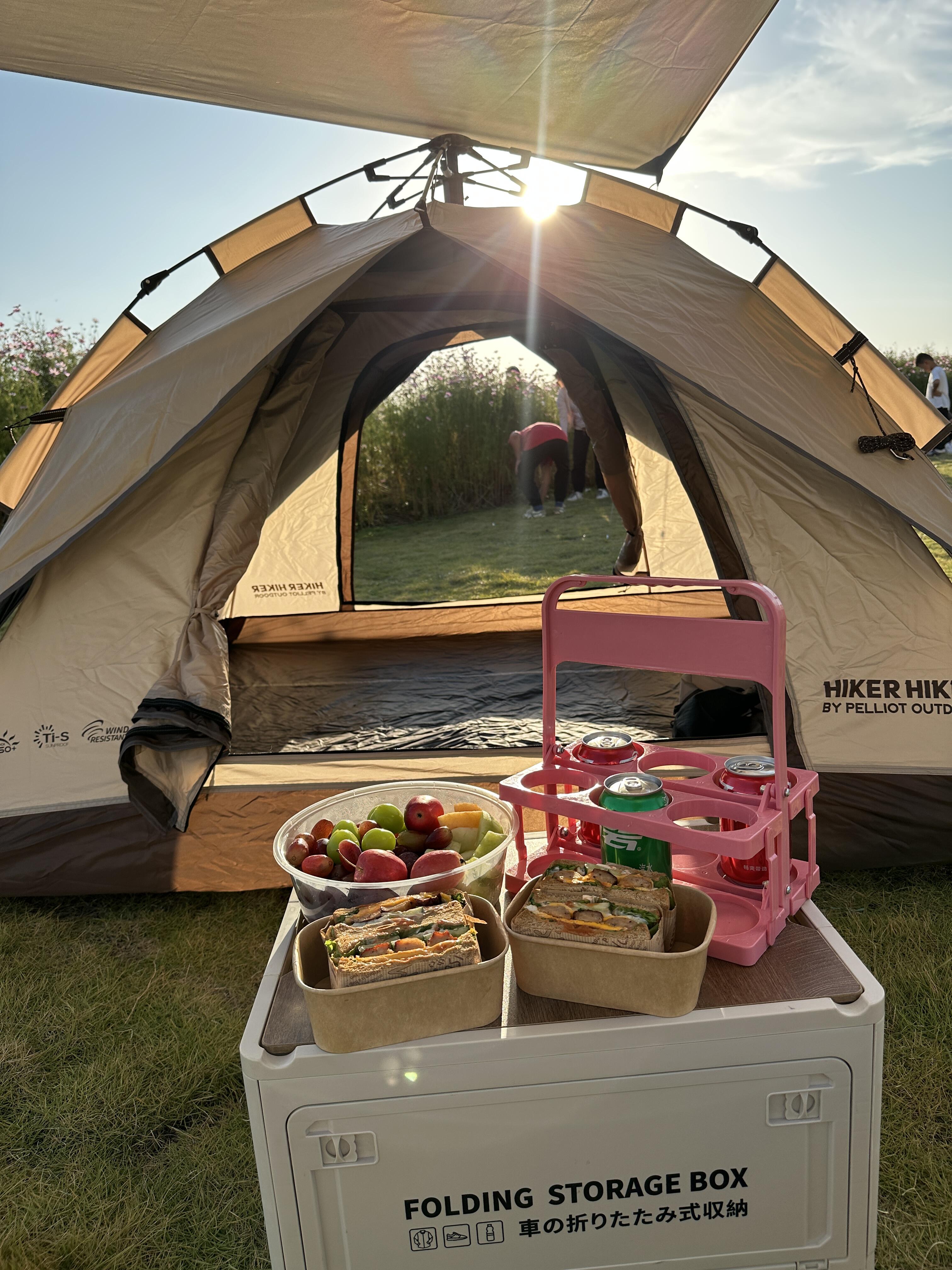 Portable Folding Drink Caddy