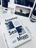 Nordic Ins Style Journal