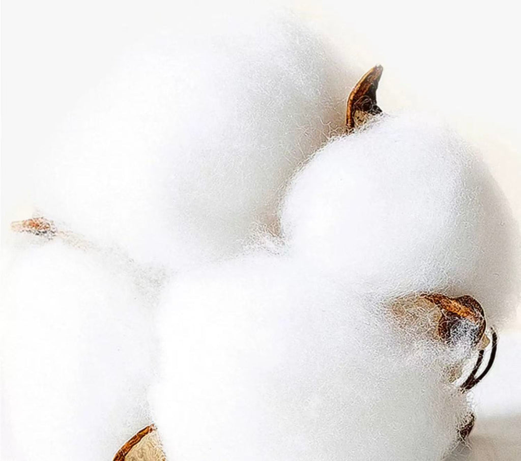 Vibrant Fashion Striped Socks