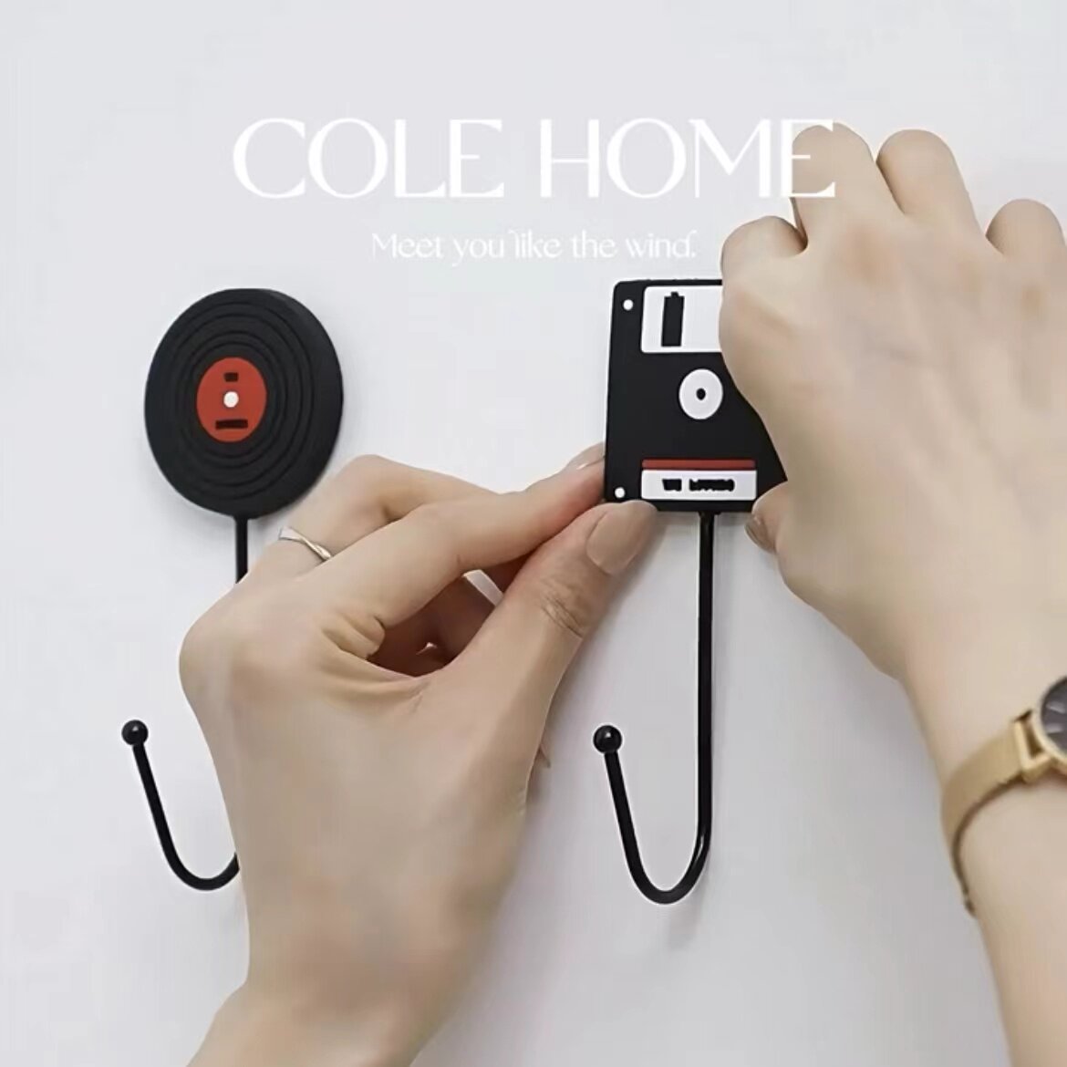 Vintage Vinyl Record Wall Hooks